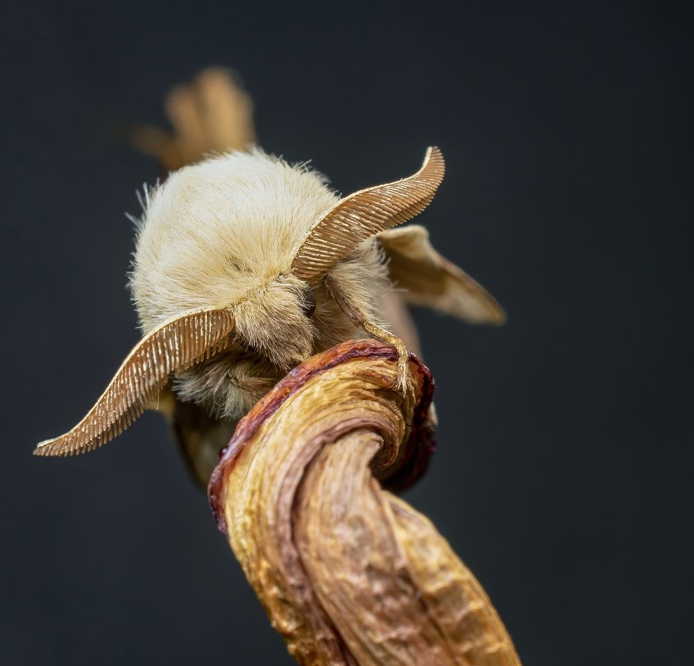 Photograph by Людмила Железнова