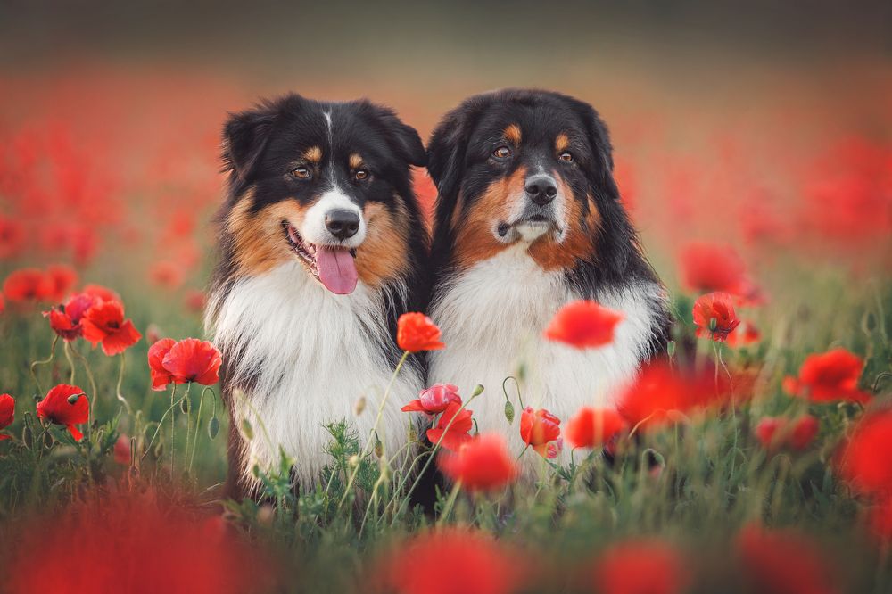 Photograph by Яна Нарбутович