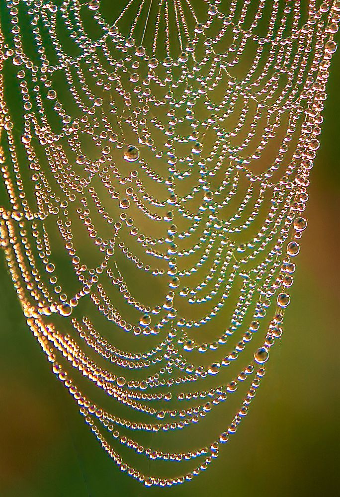 Photograph by Юрий Спасенников