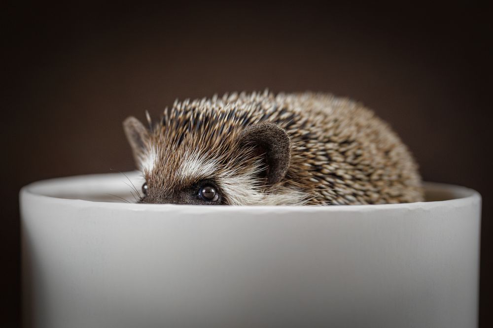 Photograph by Яна Нарбутович