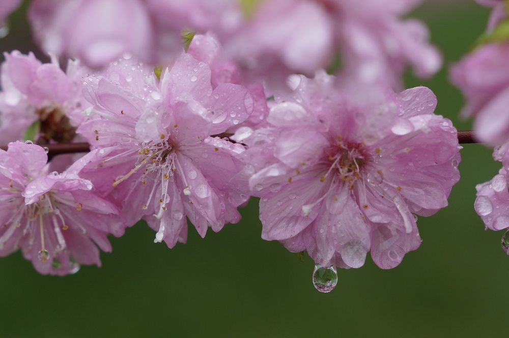 Photograph by Ольга Слугина