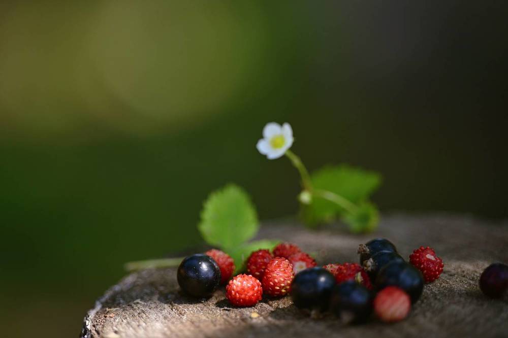 Photograph by Елена Март