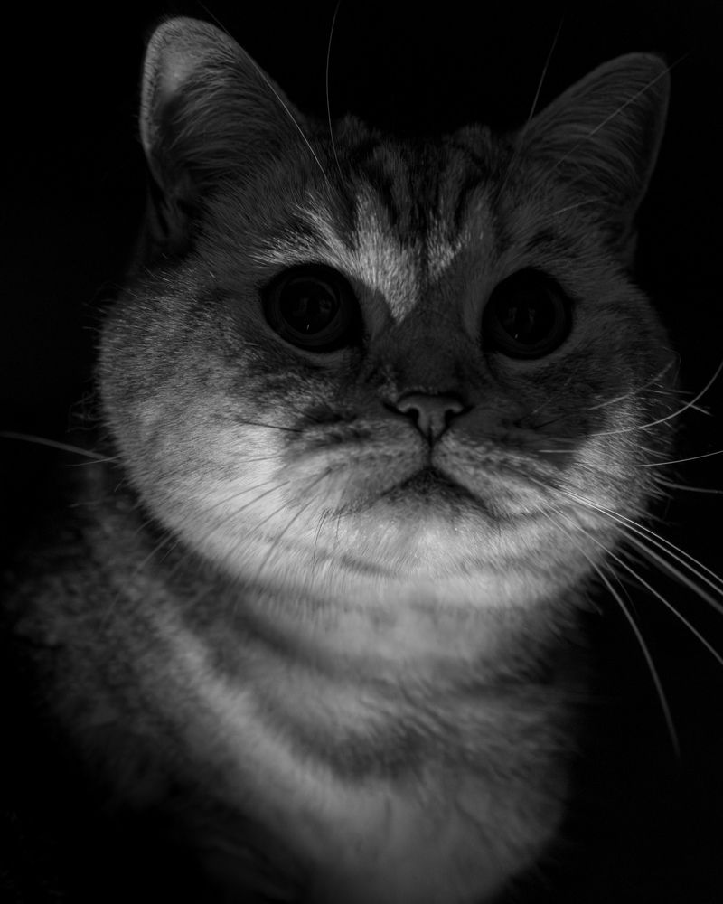 Photograph by Anton Leonchikov