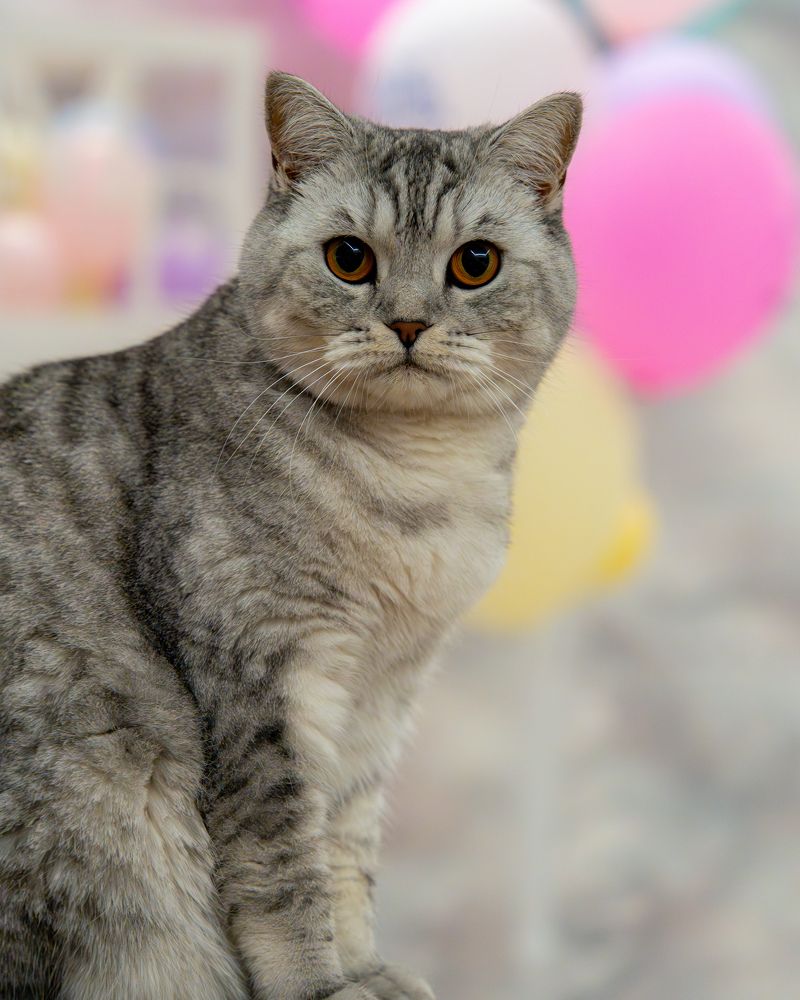 Photograph by Anton Leonchikov