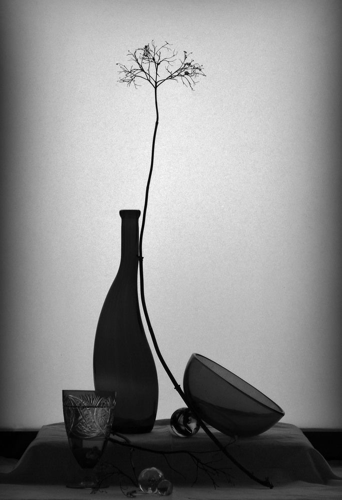 Photograph by Александр Зарх