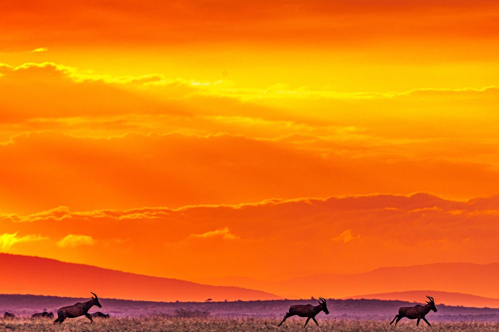 Photograph by Trivet Antony