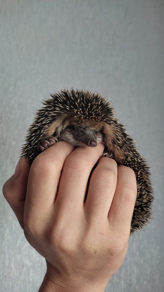 Photograph by Олеся