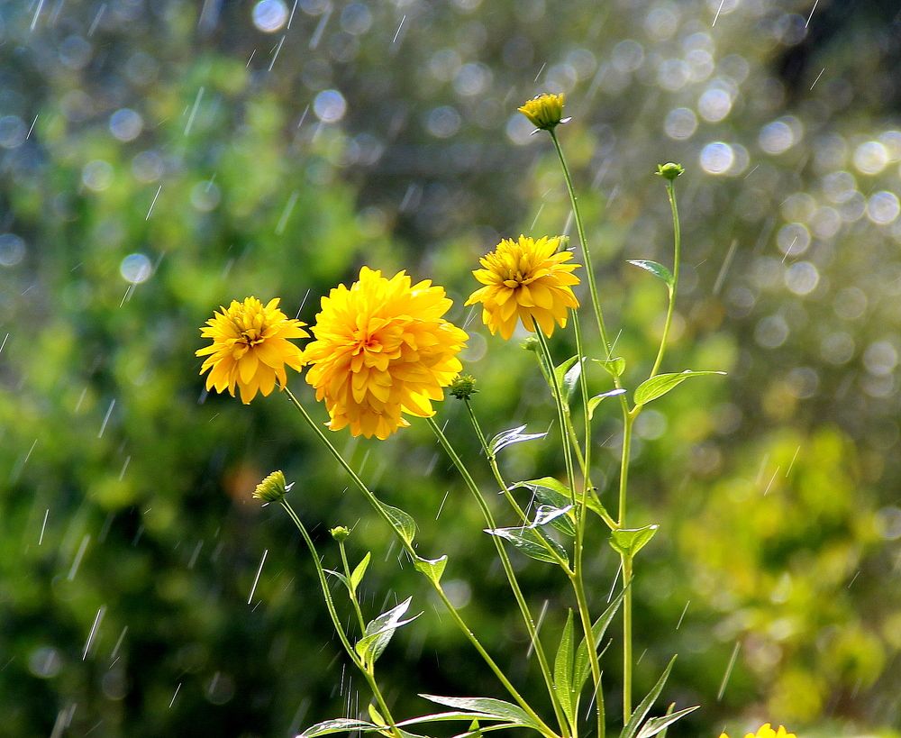 Photograph by Жанна Нечаева