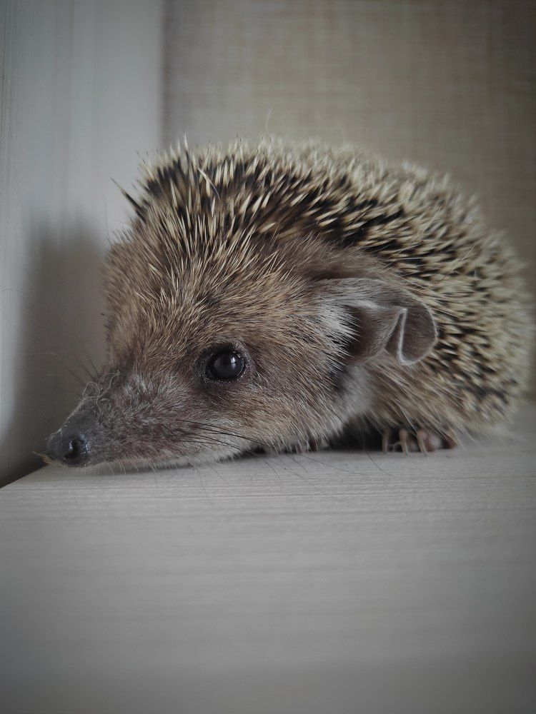 Photograph by Олеся