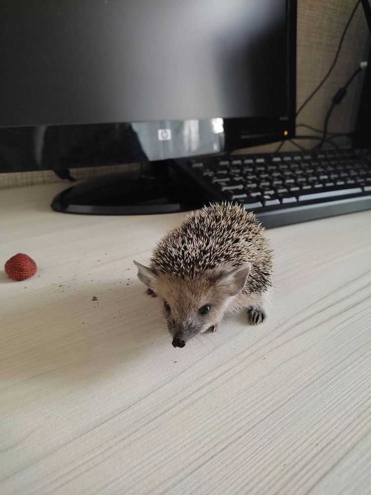 Photograph by Олеся