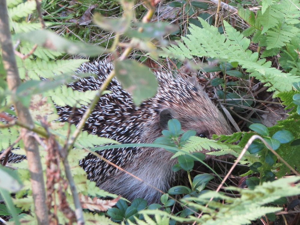 Photograph by Екатерина Лобанова