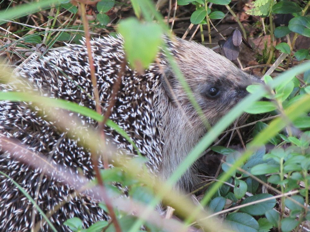 Photograph by Екатерина Лобанова