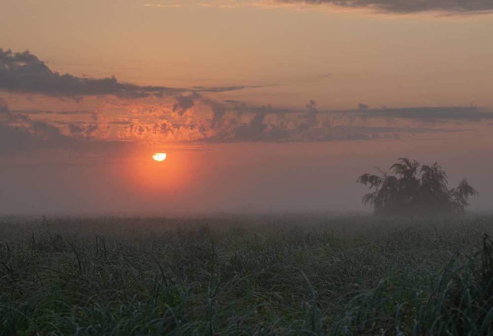 Photograph by Альварис Сукманюк