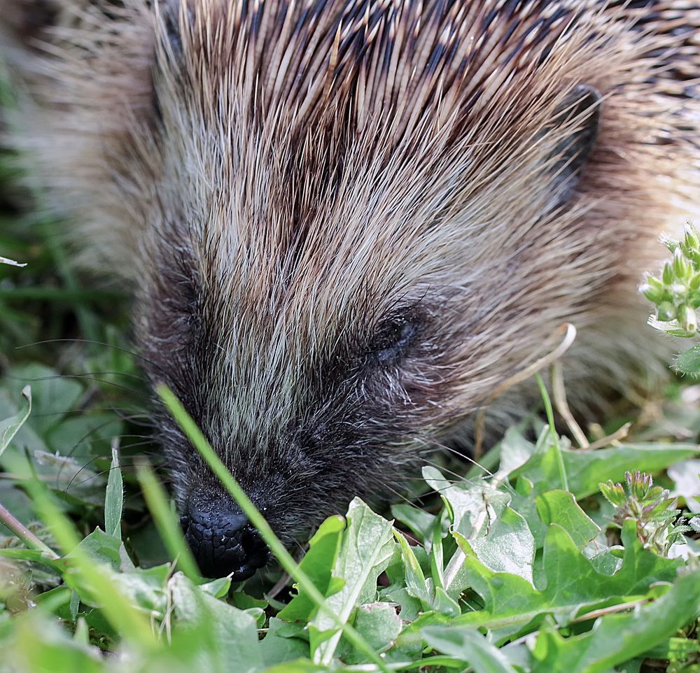 Фотография автора Александр