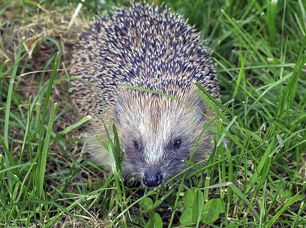 Фотография автора Александр
