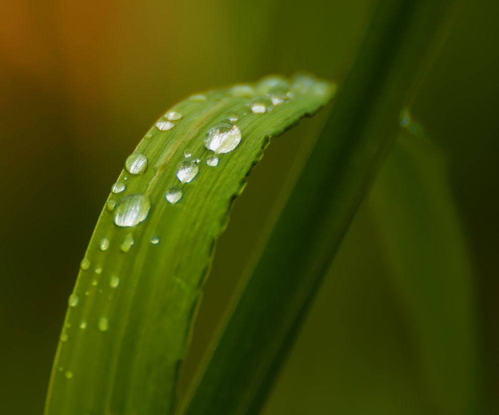 Дождь прошел