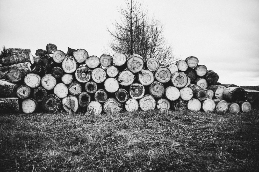 Photograph by Вадим Рудаков