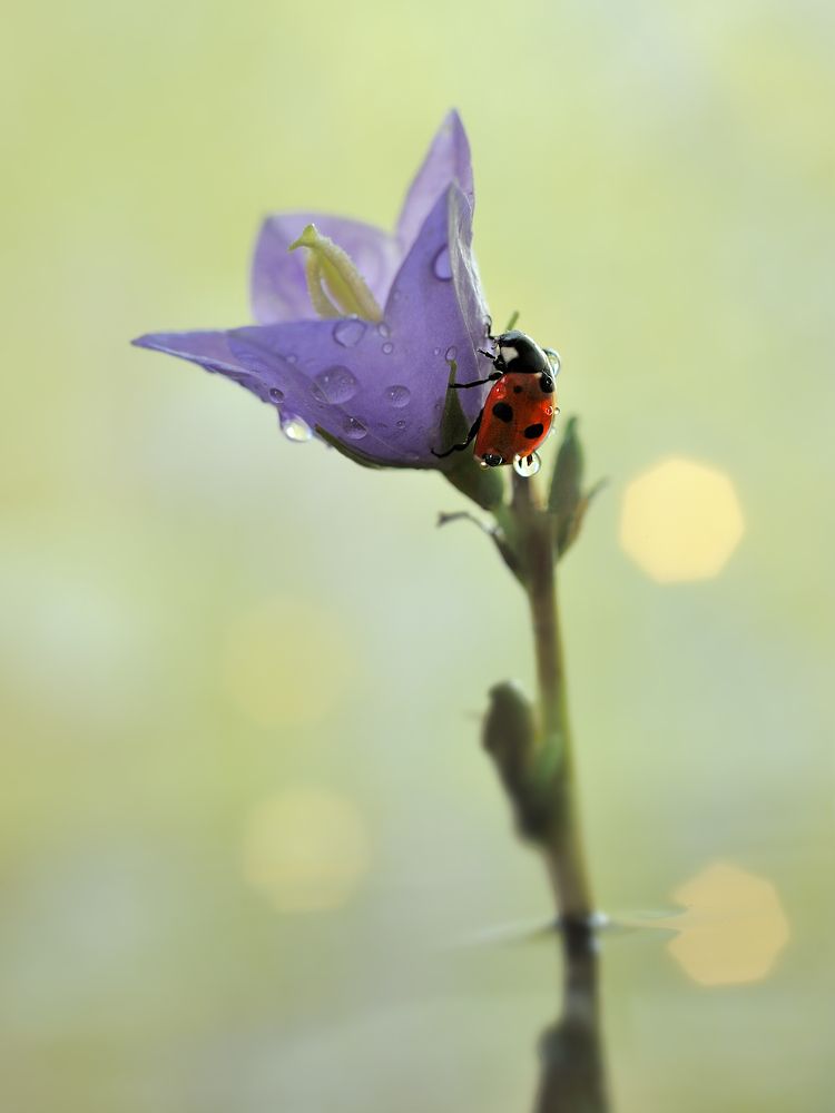 Photograph by Наталья Комиссарова