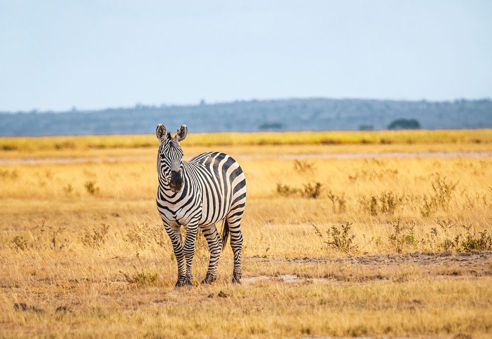 Photograph by Светлана Богданова