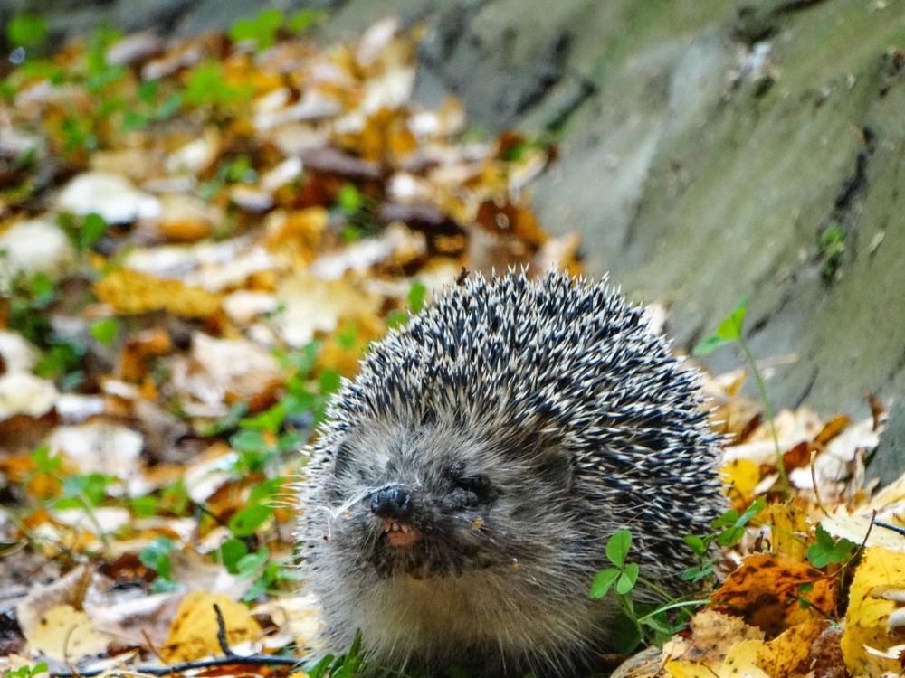 Photograph by Анжелика Трошина