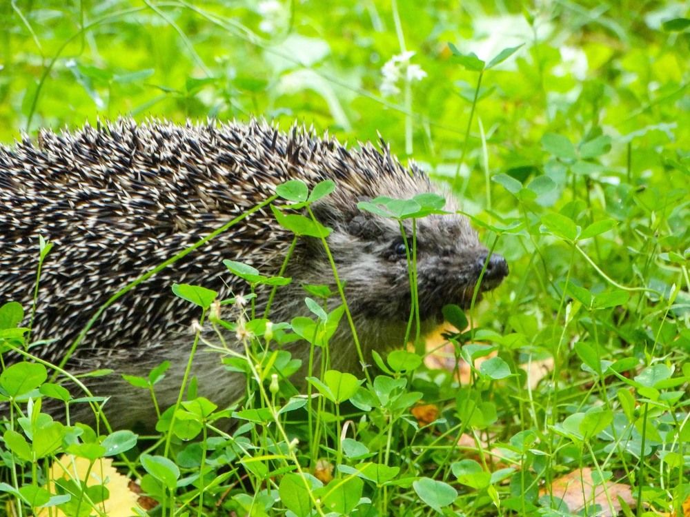 Photograph by Анжелика Трошина