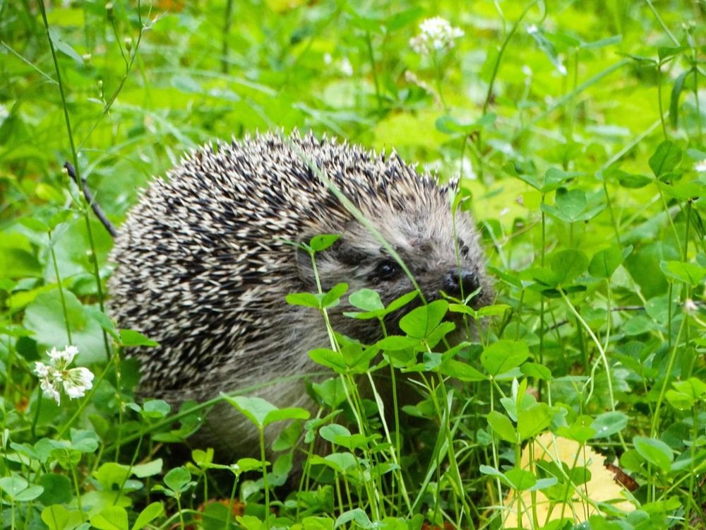 Photograph by Анжелика Трошина