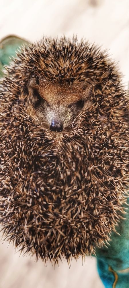 Photograph by Валентин Волк