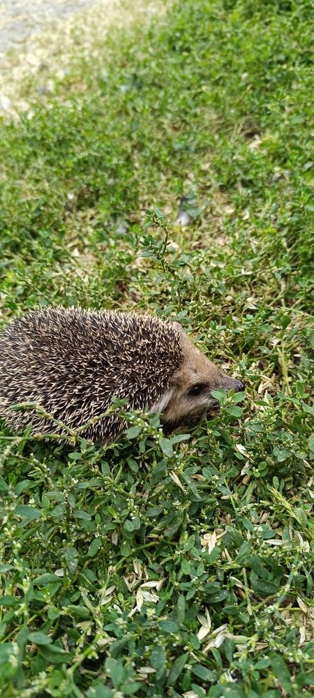 Photograph by Валентин Волк