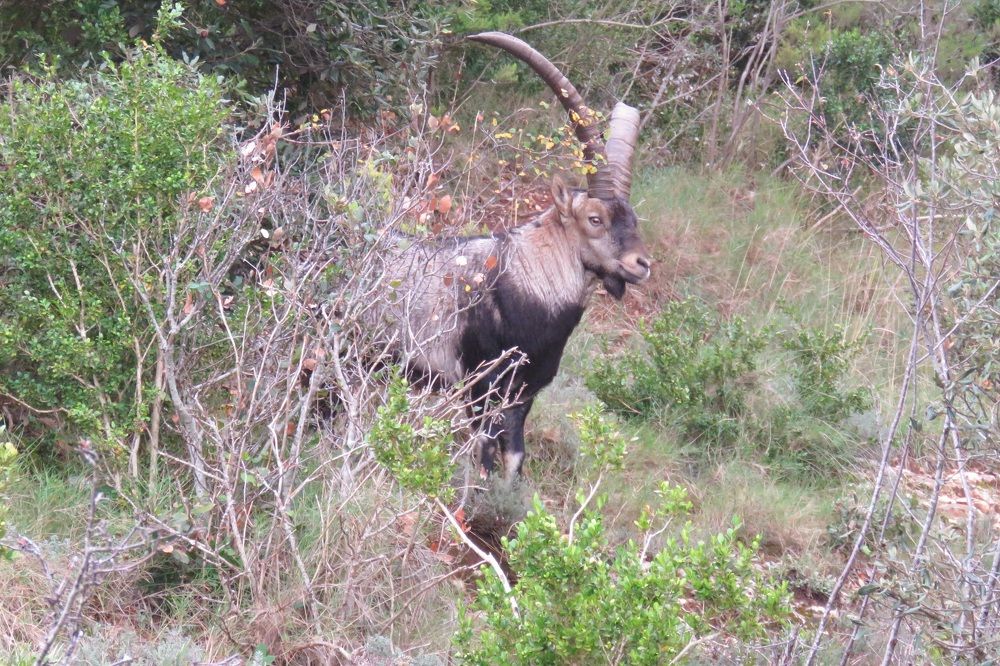 Photograph by Валерия Яскович