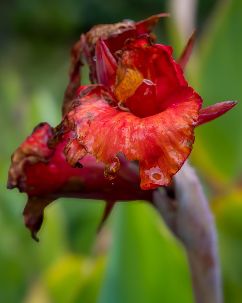 Photograph by Шейко Анна