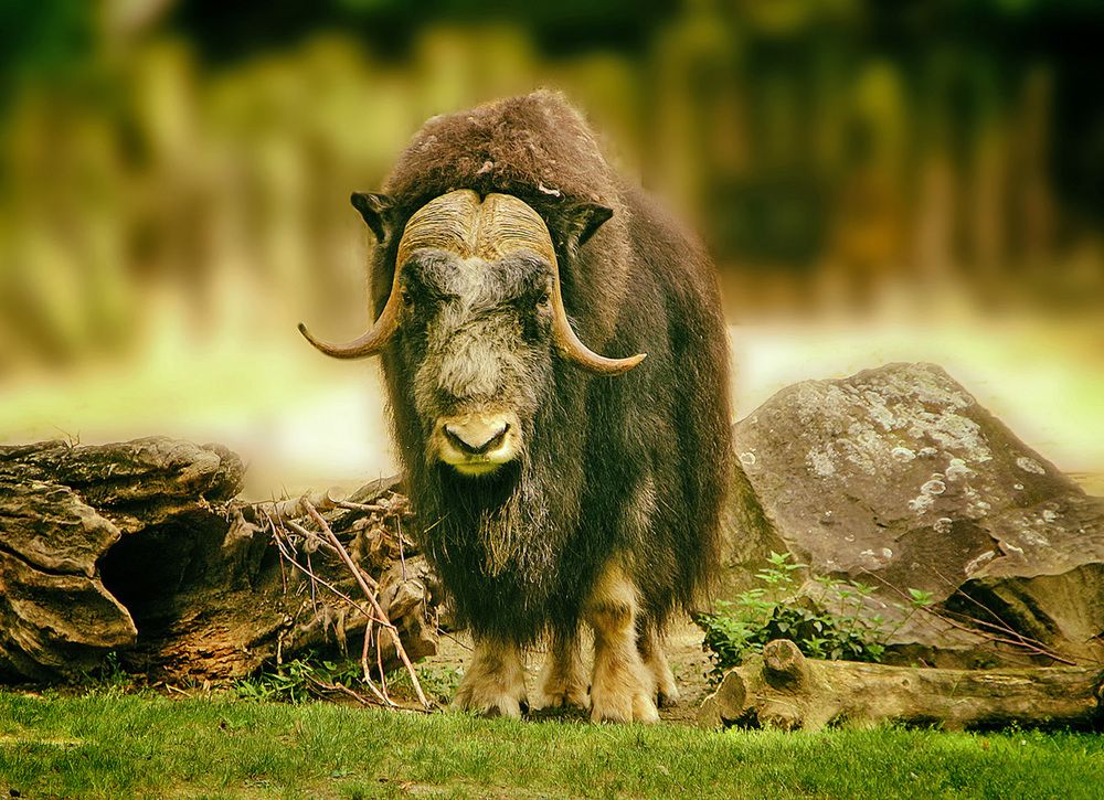 Фотография автора Александр