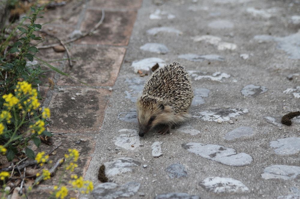 Photograph by Nadzeya