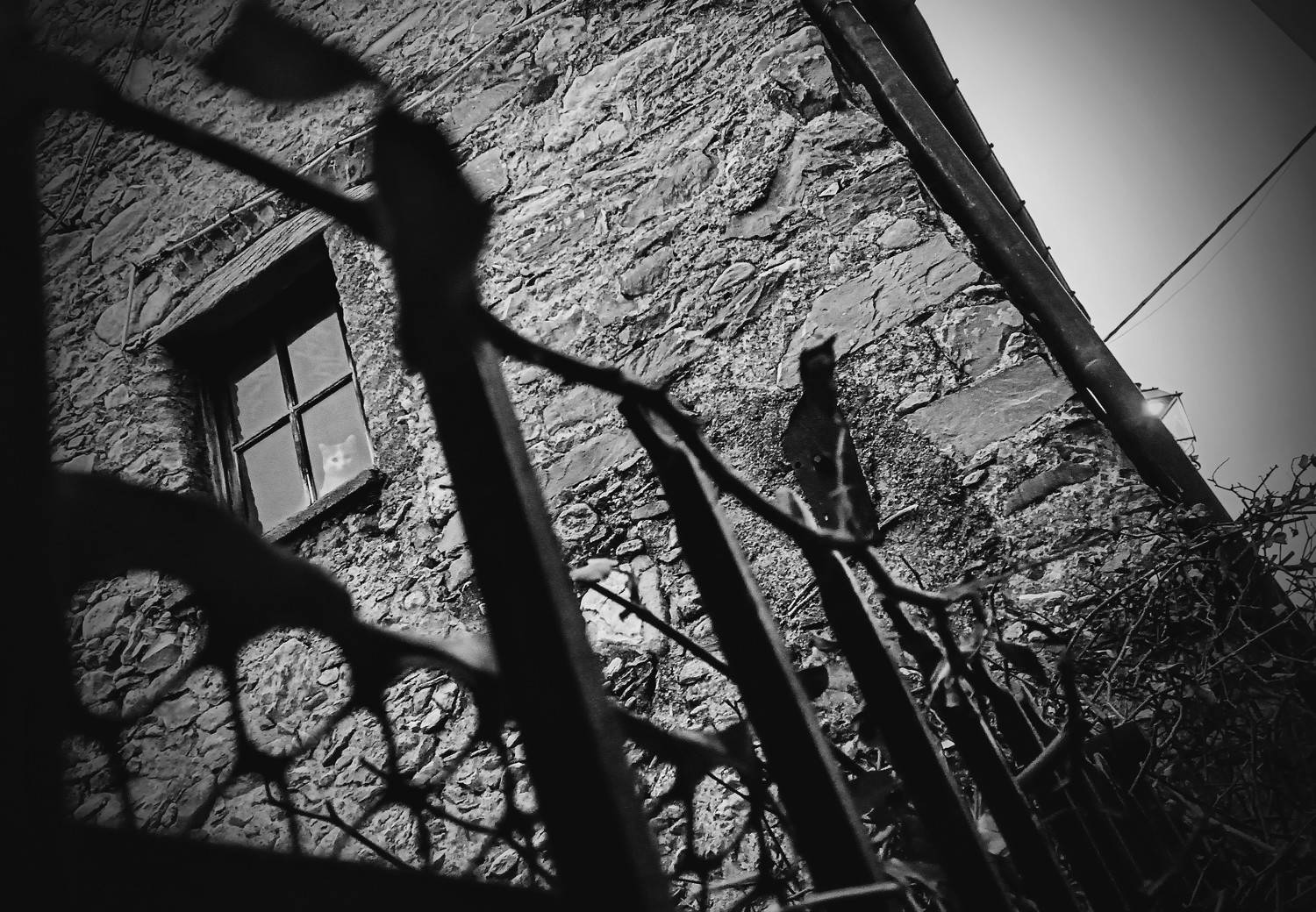 Photo #11474045