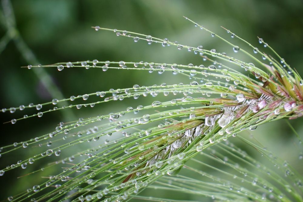 Photograph by Nadzeya