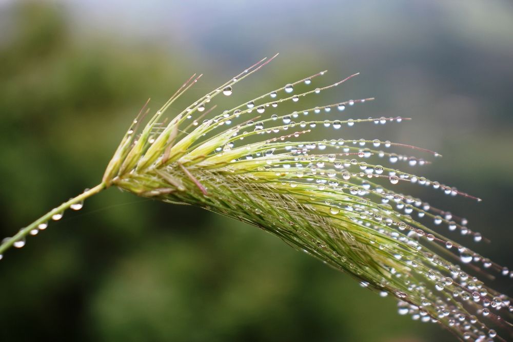 Photograph by Nadzeya