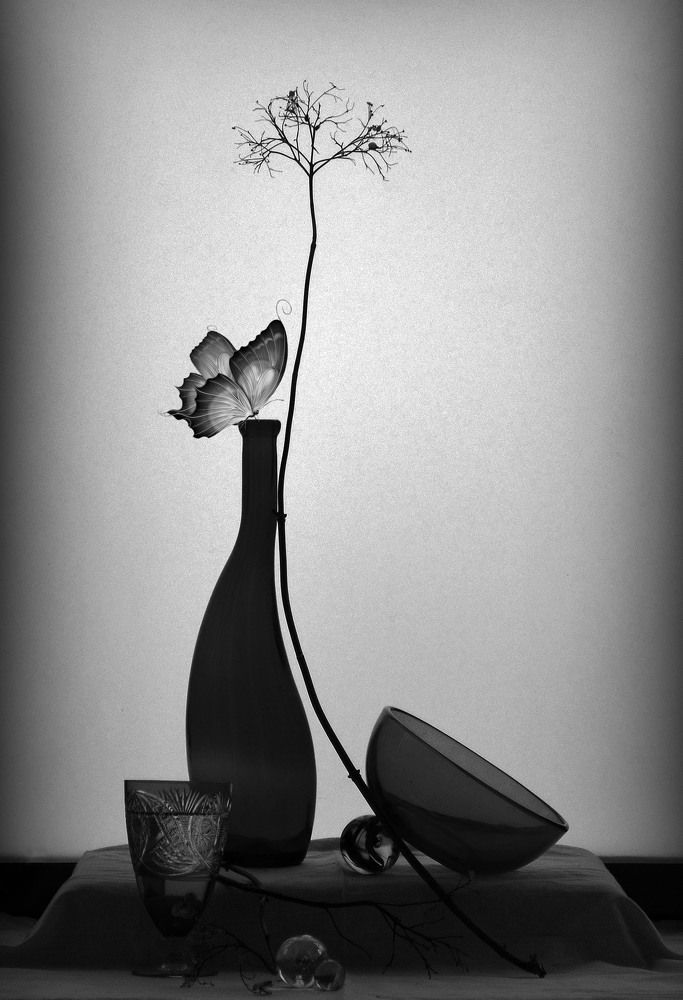 Photograph by Александр Зарх