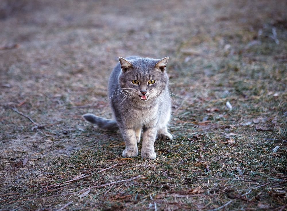 Photograph by Ткачёв Владимир