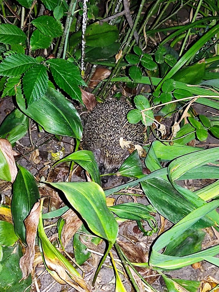 Photograph by Елена Иванкина