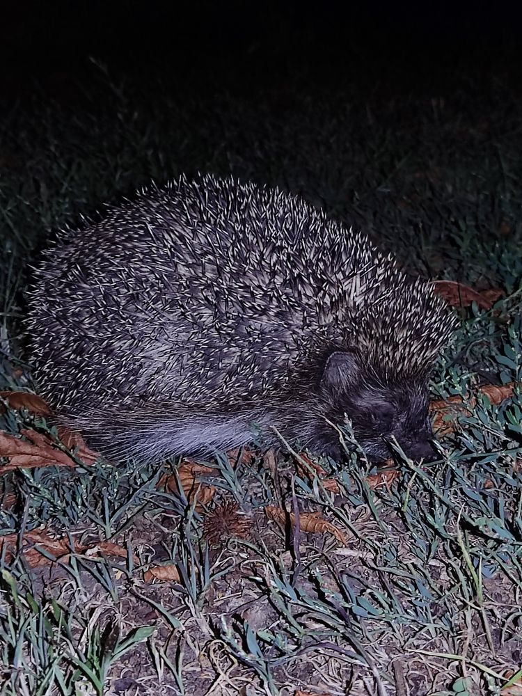 Photograph by Елена Иванкина