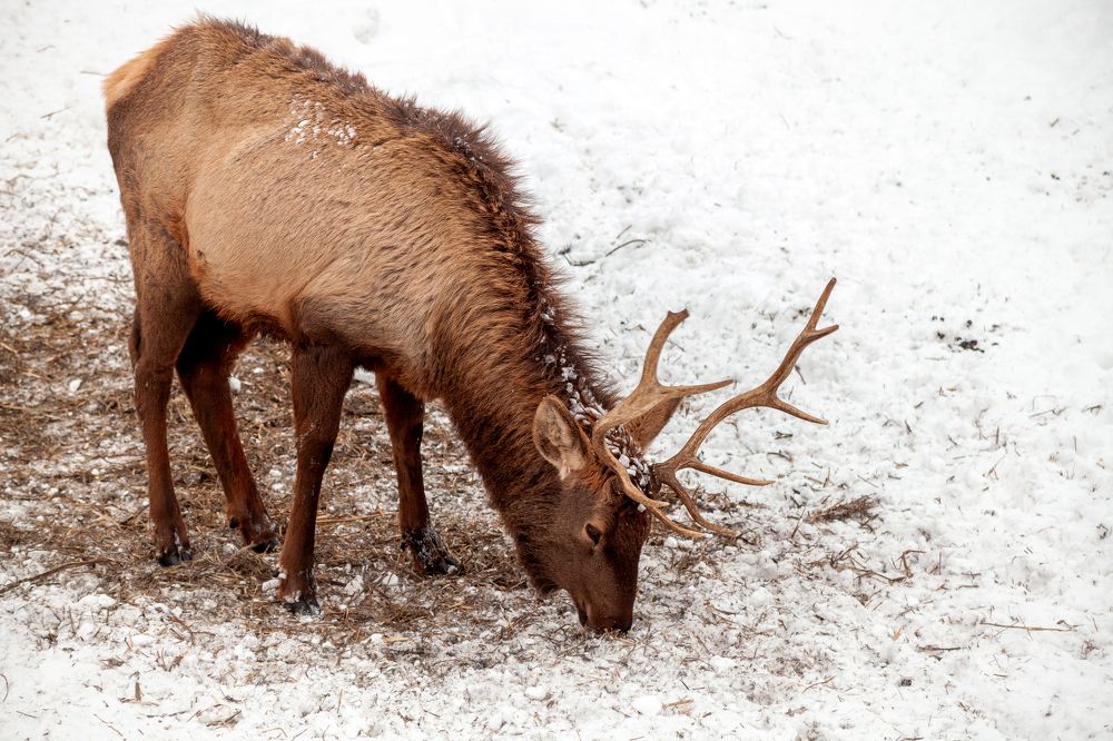 Photograph by Евгений Москвин