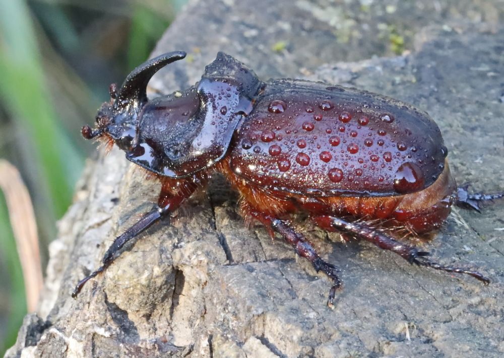 Photograph by Сергей Маслов