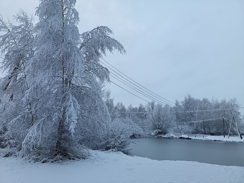 Photo #11474122