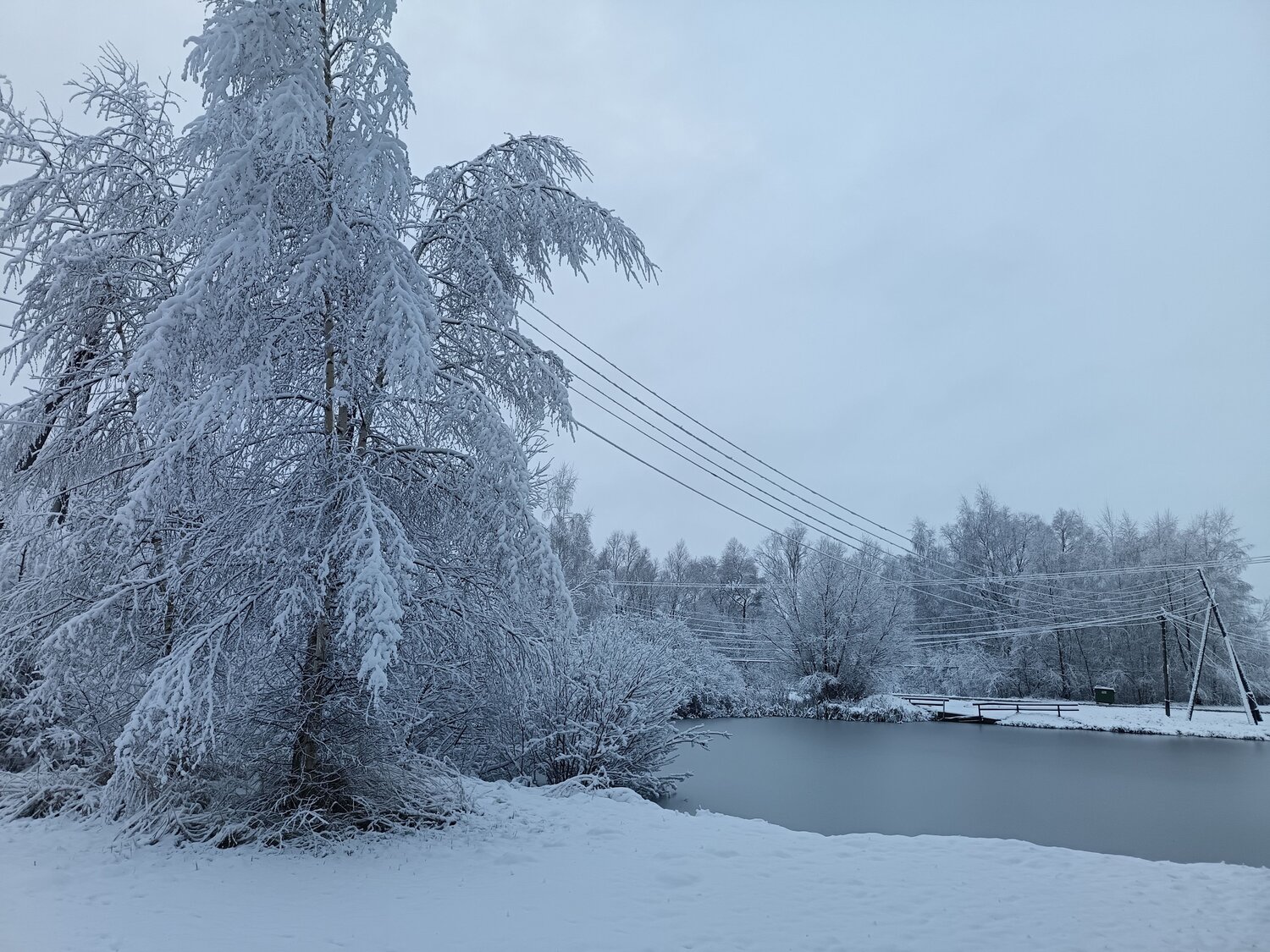 Photo #11474122