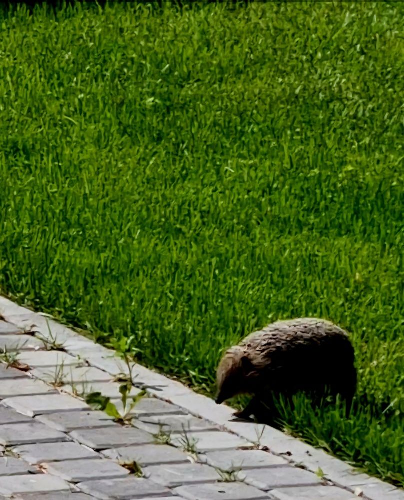 Photograph by Максим Иванов