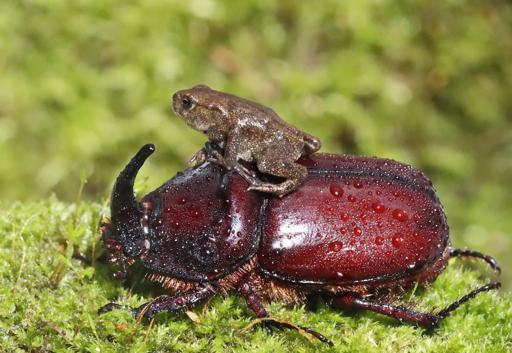 Photograph by Сергей Маслов