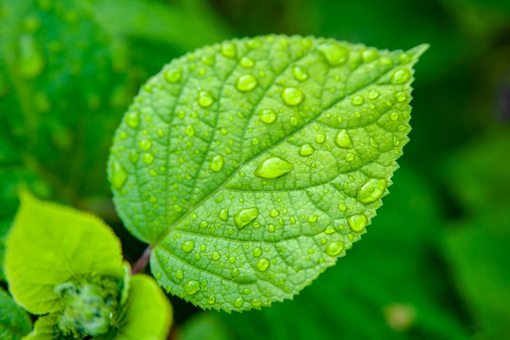 Photograph by Семенов Александр