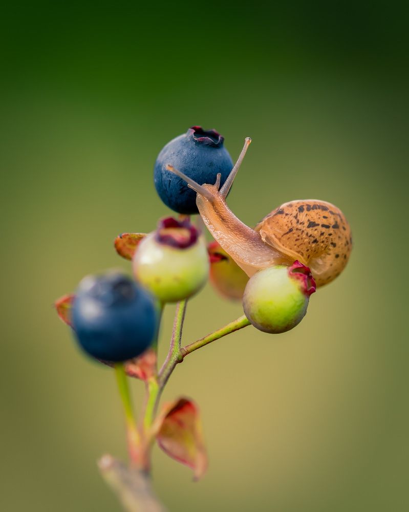 Photograph by Рагинская Ольга