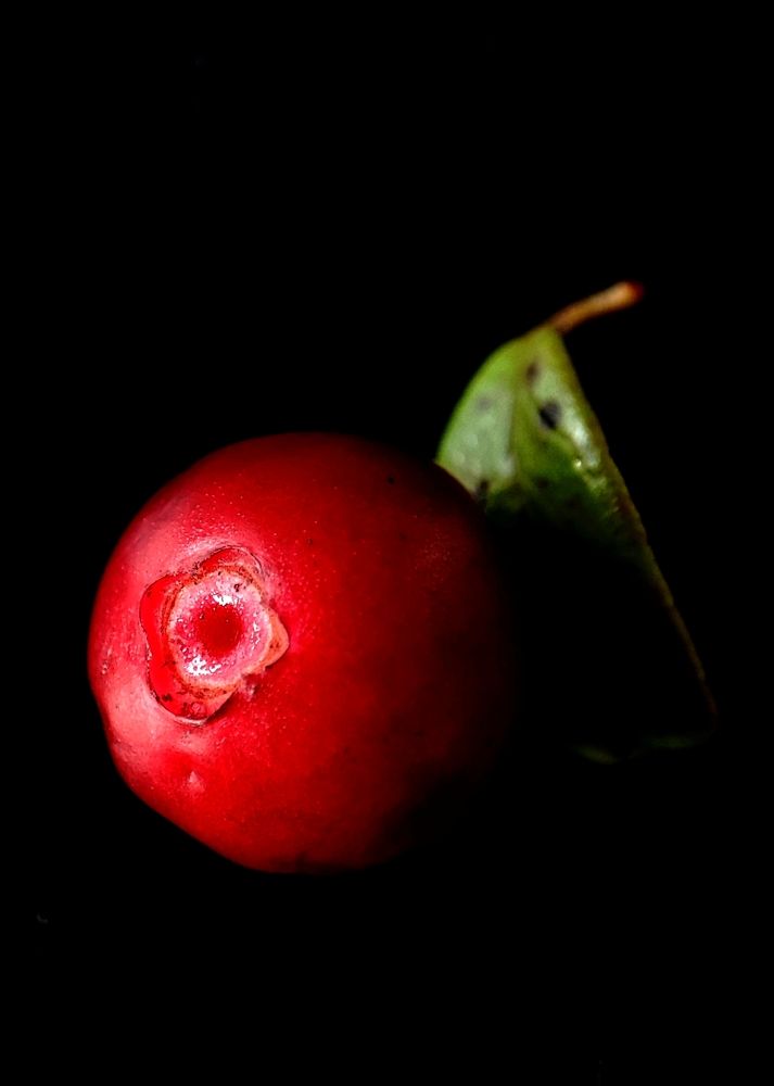 Photograph by Наталья