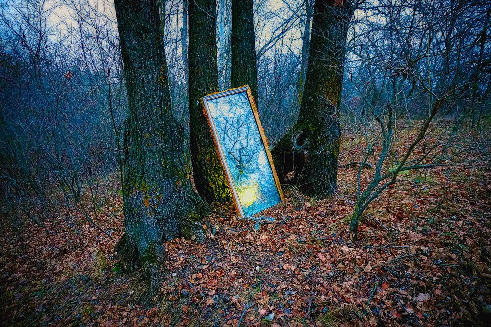 Синий вечер в лесу