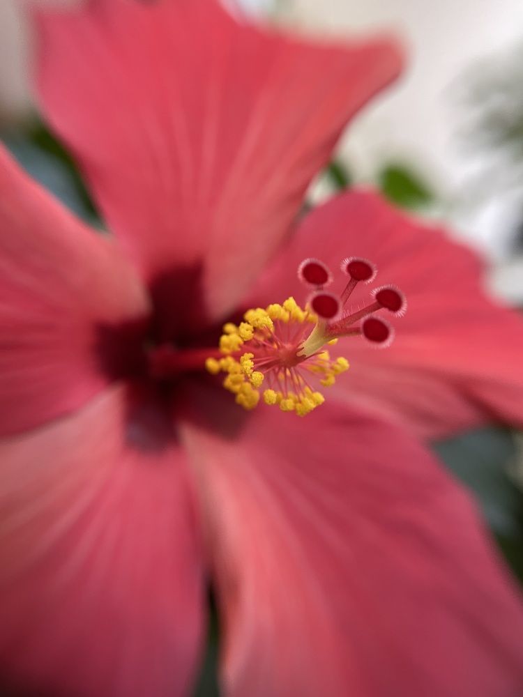 Photograph by Татьяна Раковская